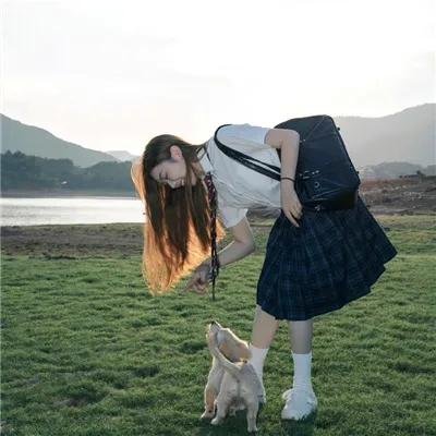 神勇飞虎霸王花